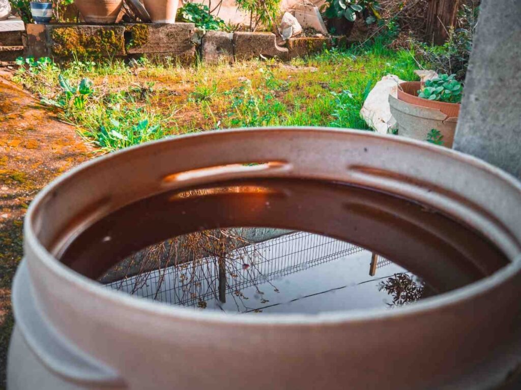 Benefits of Rainwater Harvesting in Home Construction